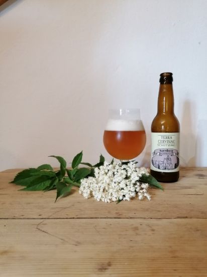 Picture of Bio Bier - KORNBERG 0,33l